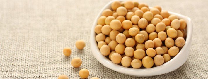 White hilum soybeans