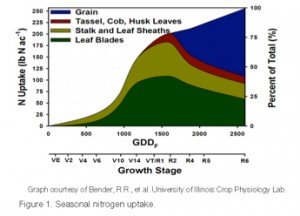 Corn N Chart