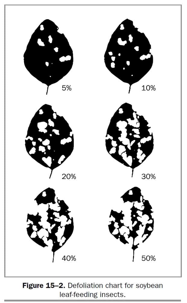 Defoliation chart for soybean leaf-feeding insects